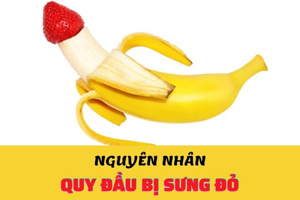 Quy đầu bị sưng đỏ do đâu? Có nguy hiểm không?