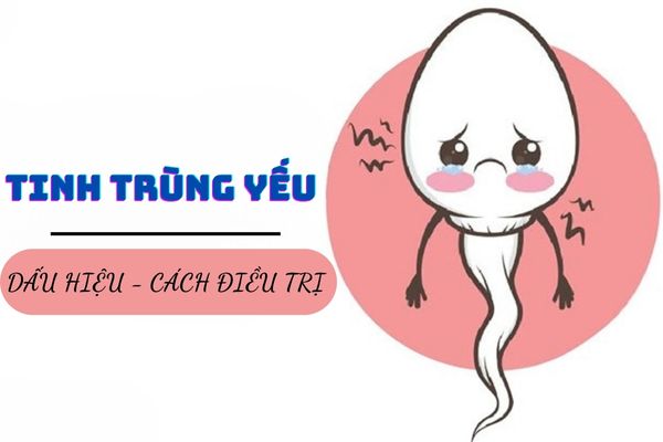 Dấu hiệu nhận biết tinh trùng yếu – Cách điều trị hiệu quả