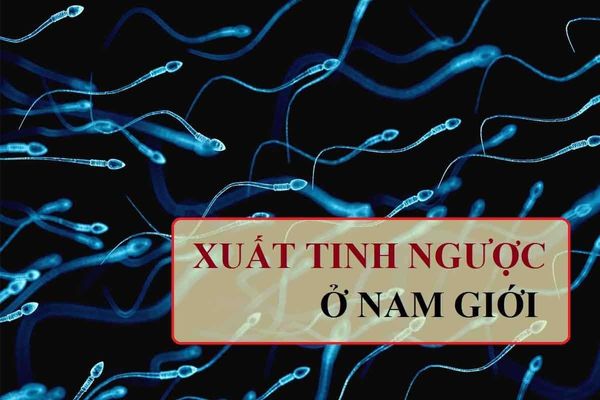 Xuất tinh ngược – Nỗi ám ảnh của các cánh mày râu