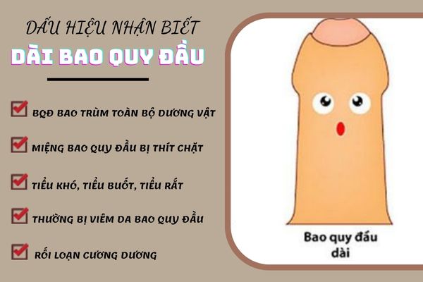 Dấu hiệu nhận biết dài bao quy đầu ở nam giới