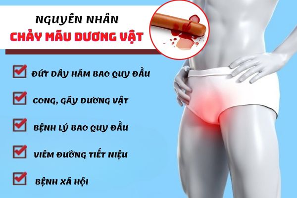 Dương vật chảy máu do nhiều nguyên nhân khác nhau gây ra