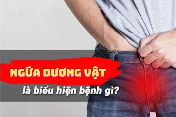 Nguyên nhân ngứa dương vật ở nam giới – Cách điều trị hiệu quả