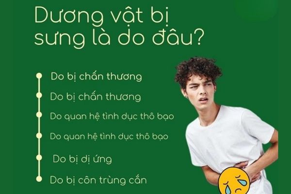 Sưng dương vật ở nam giới do nhiều nguyên nhân khác nhau gây nên