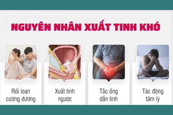 Xuất tinh khó ở nam giới do nhiều nguyên nhân khác nhau gây ra