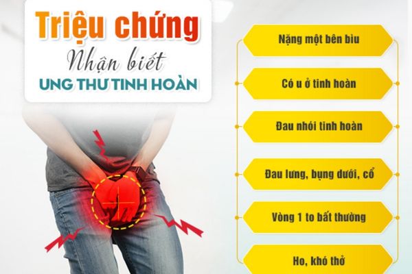 Ung thư tinh hoàn là bệnh lý nguy hiểm cần đặc biệt lưu ý