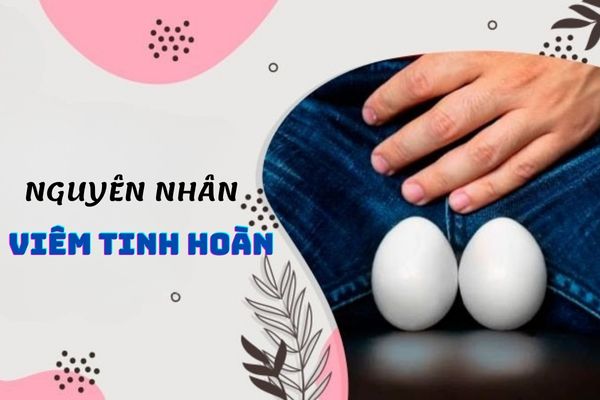 Top 7 nguyên nhân viêm tinh hoàn thường gặp ở phái mạnh