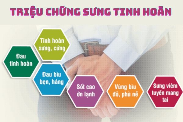 Dấu hiệu nhận biết sưng tinh hoàn ở nam giới