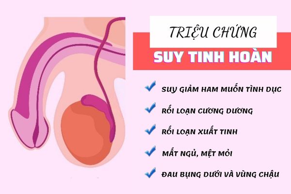 Suy tinh hoàn là bệnh lý thường gặp ở nam giới