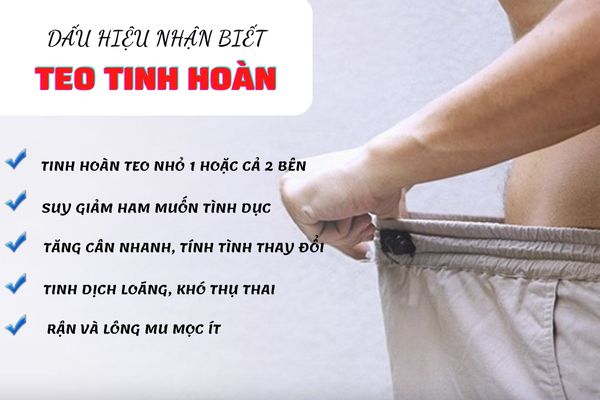 Dấu hiệu nhận biết teo tinh hoàn ở nam giới