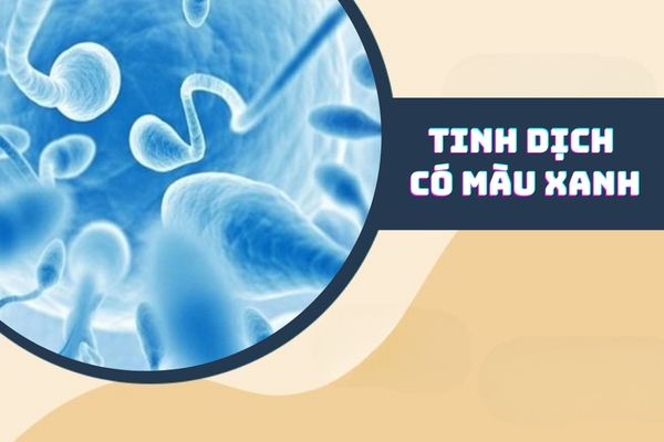 Tại sao tinh dịch có màu xanh? Cách điều trị hiệu quả