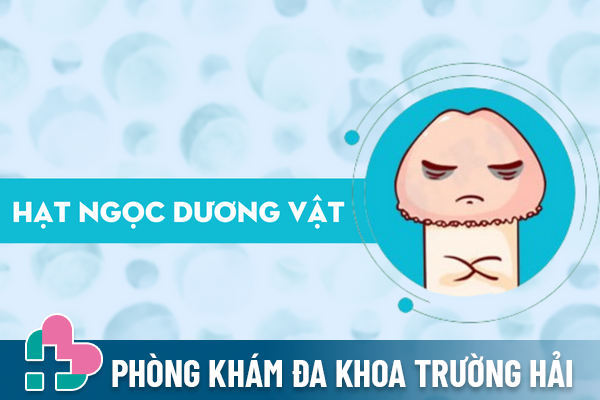 Sự thật về hạt ngọc dương vật